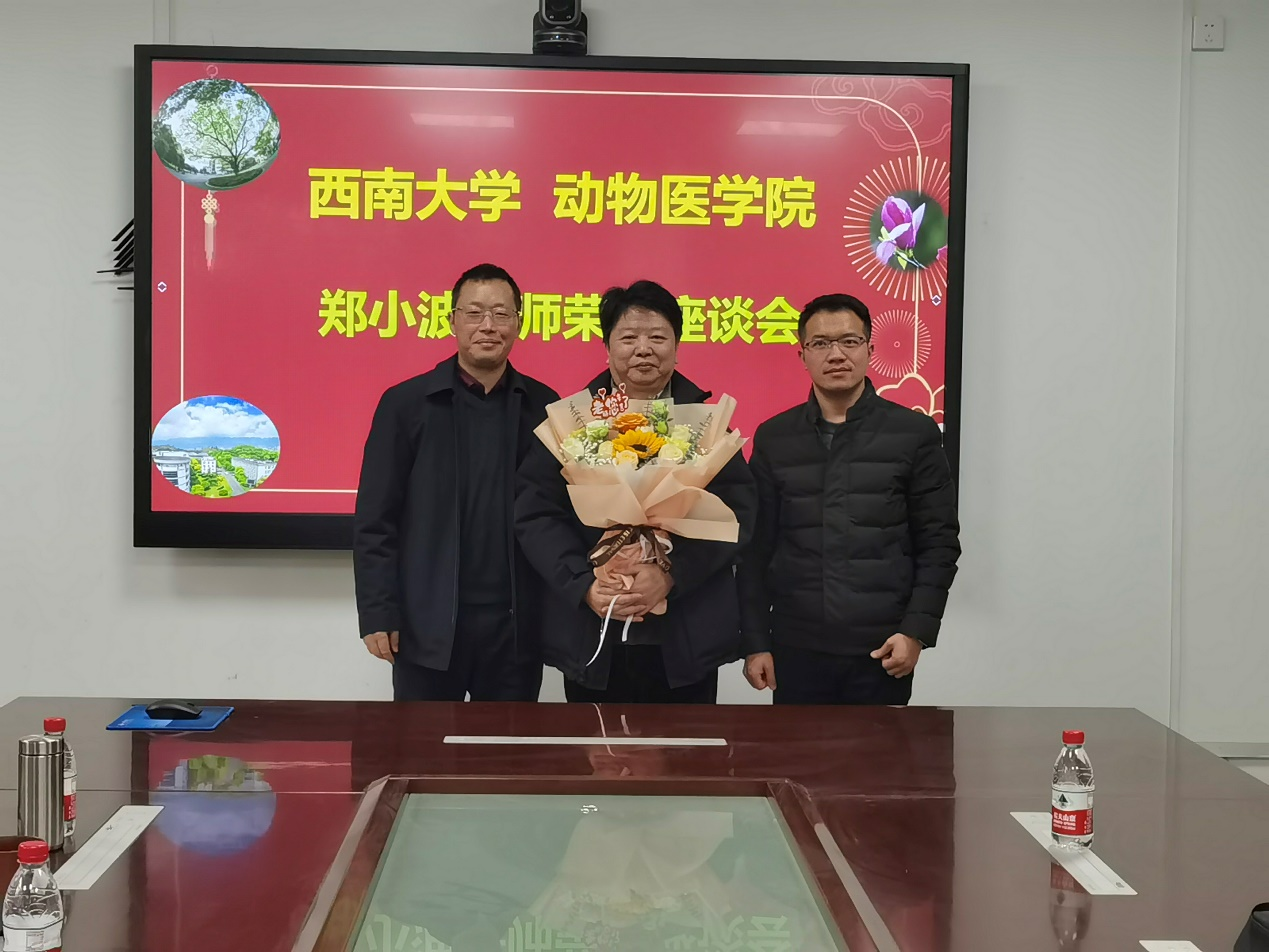 韩国污漫
为郑小波老师举行退休座谈会